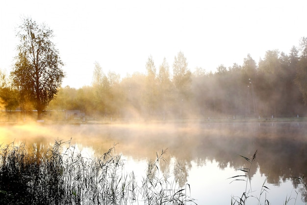 fiume sul paesaggio naturale