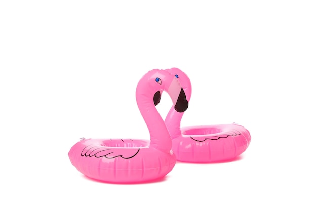 Flamingo con anello di gomma isolato su sfondo bianco