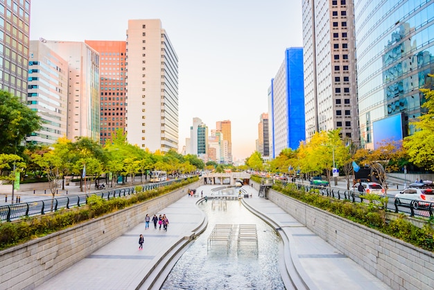 Flusso di Cheonggyecheon nella città di Seoul