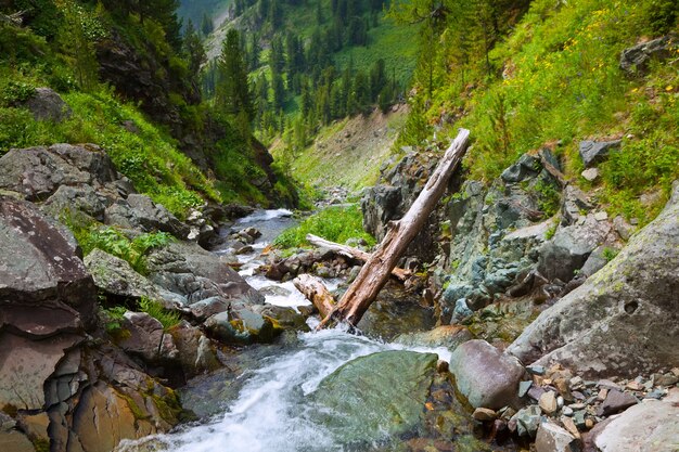 Flusso di montagne