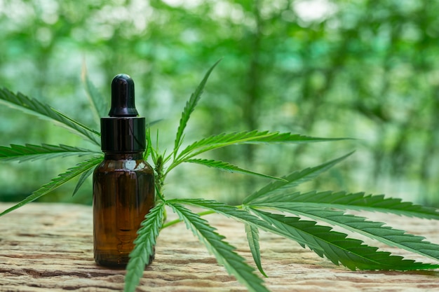 Foglia di cannabis estratta dall&#39;olio di canapa.