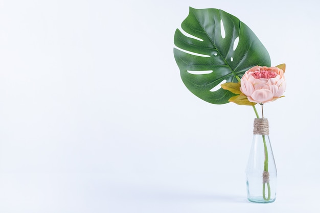 Foglia e fiori artificiali in vaso di vetro su bianco.