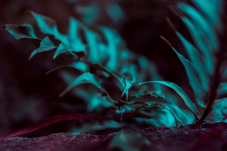 Foto gratuito foglie botaniche