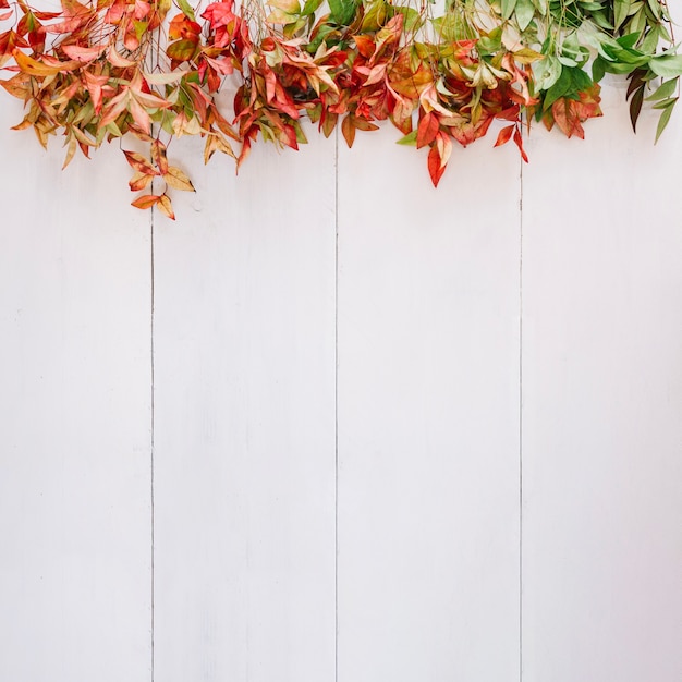 Foglie d&#39;autunno e spazio sul fondo