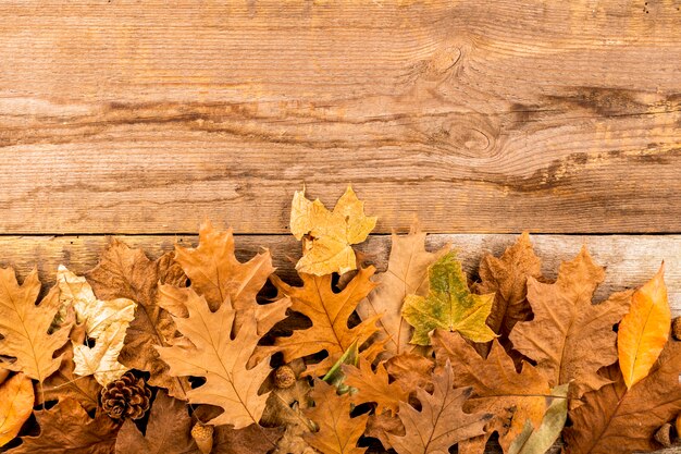 Foglie di autunno asciutte su fondo di legno