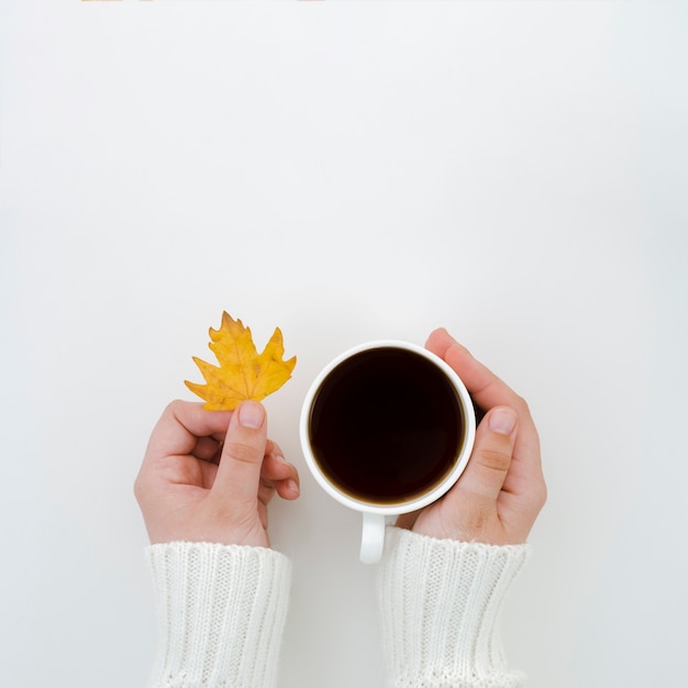 Foglie di autunno di vista superiore con caffè