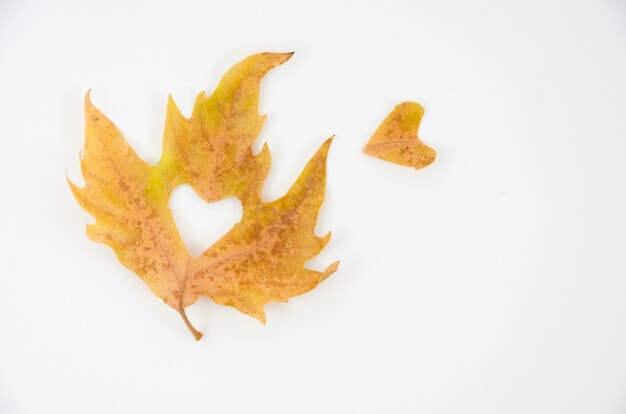 Foglie di autunno di vista superiore con cuore