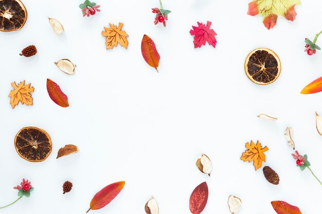 Foglie di autunno di vista superiore su fondo bianco