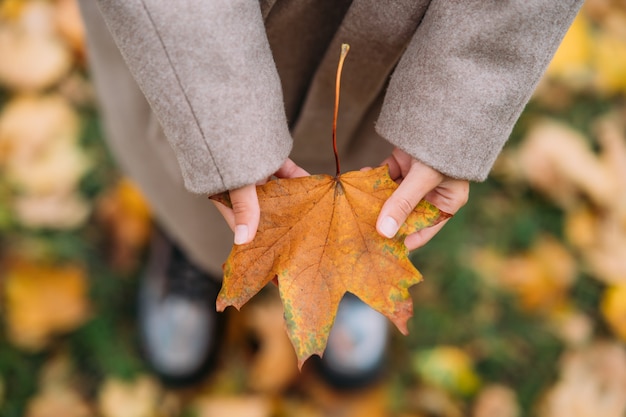 Foglie di autunno nelle mani della ragazza vista ravvicinata