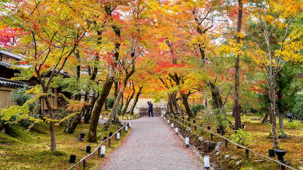 Foglie di autunno variopinte e modo a piedi nel parco, Kyoto in Giappone. Il fotografo scatta una foto in autunno.