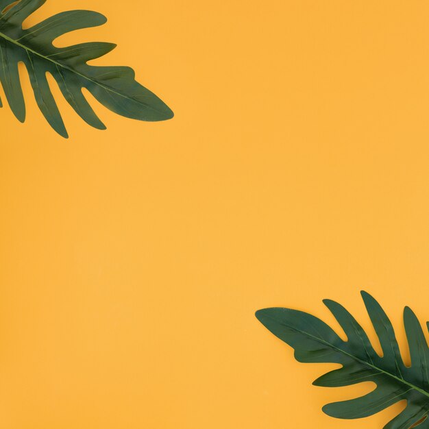 Foglie di palma tropicali su fondo giallo. Concetto di estate.