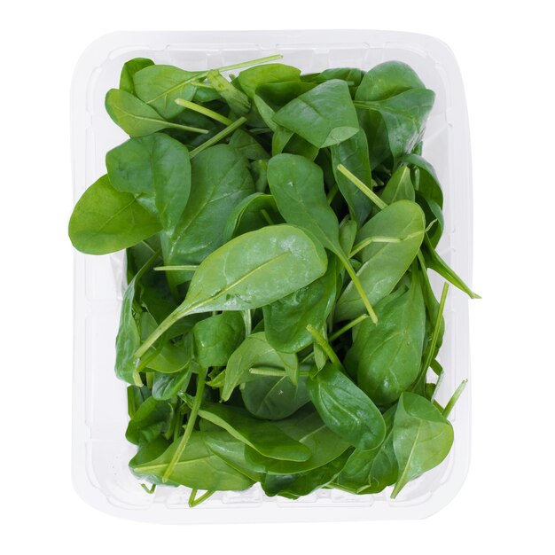 Foglie di spinaci verdi