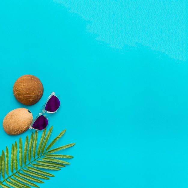 Foglie e noci di cocco tropicali su fondo blu
