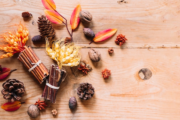 Foglie multicolori con fiori e bastoncini di cannella