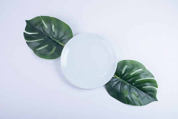 Foglie verdi artificiali e piatto bianco su superficie bianca.