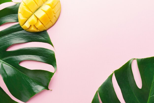 Foglie verdi di Monstera con mango sul rosa