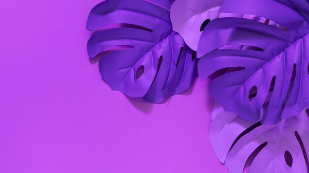 Foglie viola piatte con sfondo viola