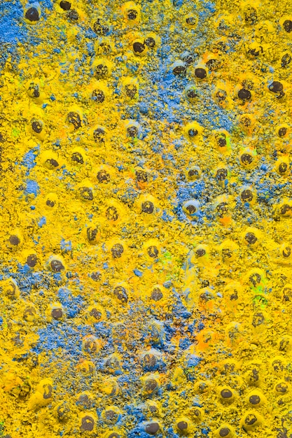 Fondo blu e giallo astratto della polvere di holi