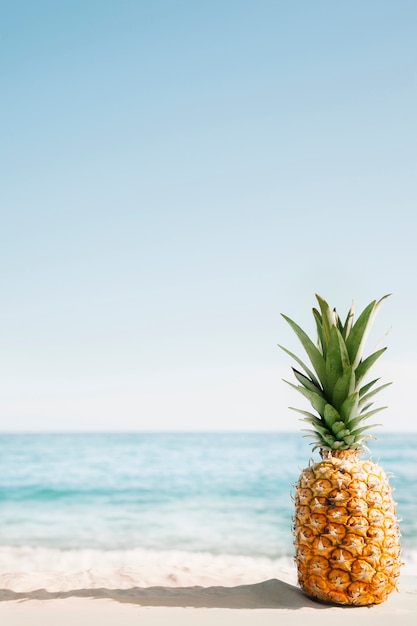 Fondo della spiaggia con ananas e copyspace