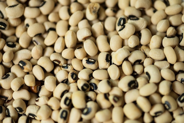 Fondo di struttura dei fagioli della soia