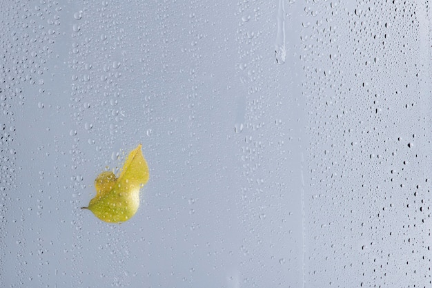 Fondo di struttura dell'acqua, foglia gialla sulla finestra di vetro