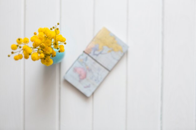 Fondo in legno con fiori gialli e mappa del mondo