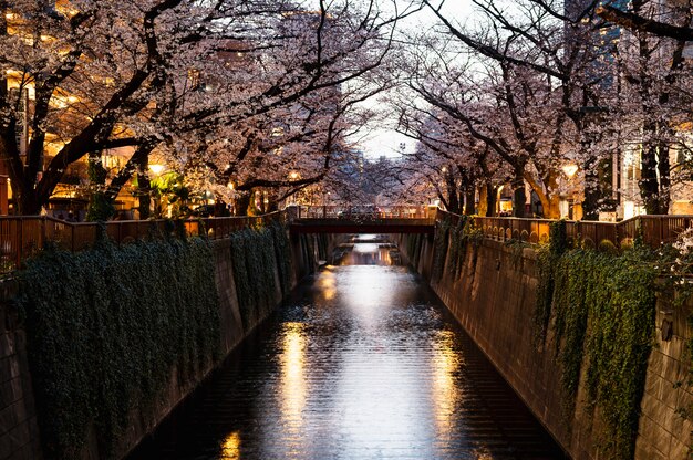 Fondo moderno della via di Tokyo