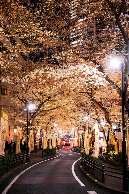 Fondo moderno della via di Tokyo