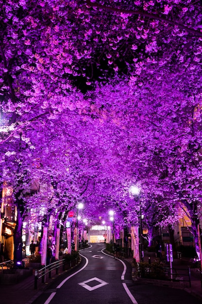 Fondo moderno della via di Tokyo