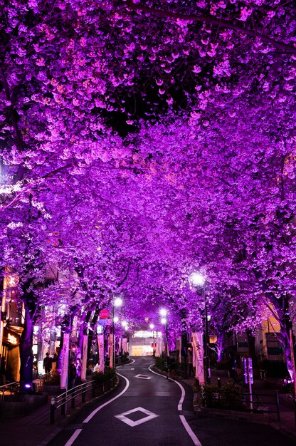 Fondo moderno della via di Tokyo