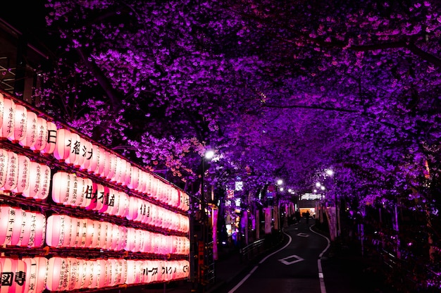 Fondo moderno della via di Tokyo