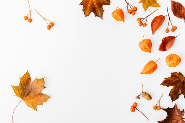 Fondo piano di disposizione di autunno su bianco