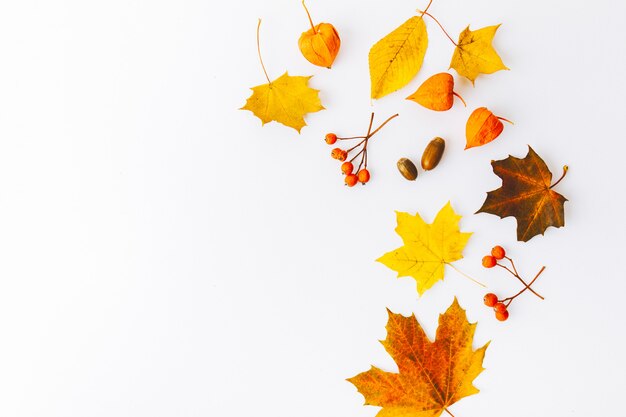 Fondo piano di disposizione di autunno su bianco