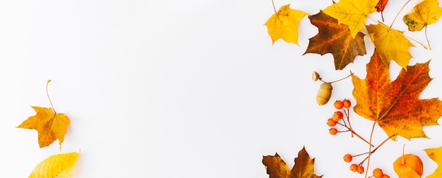 Fondo piano di disposizione di autunno su bianco