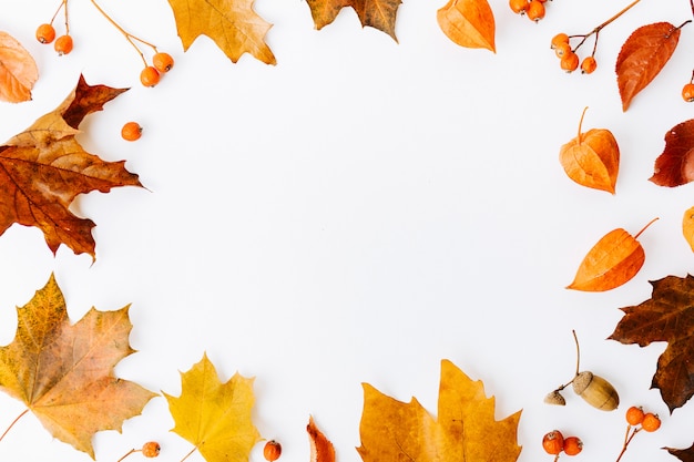 Fondo piano di disposizione di autunno su bianco