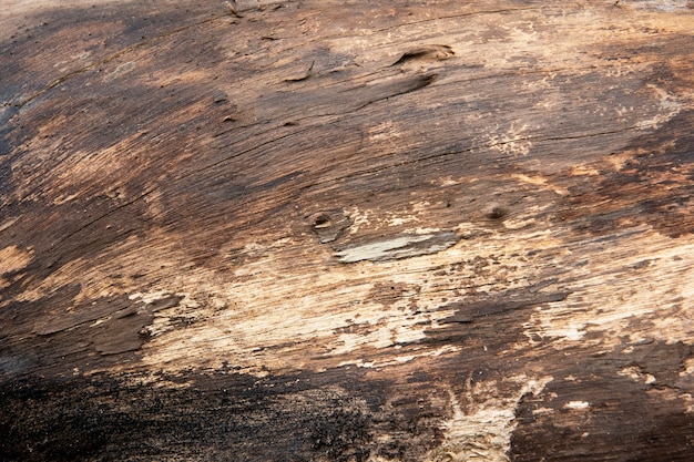 Fondo strutturato di legno marrone di lerciume