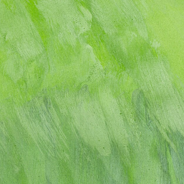 Fondo verniciato verde monocromatico vuoto