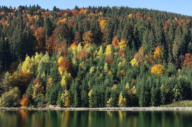 Foresta d'autunno e lago in uno sfondo naturale di una zona montuosa