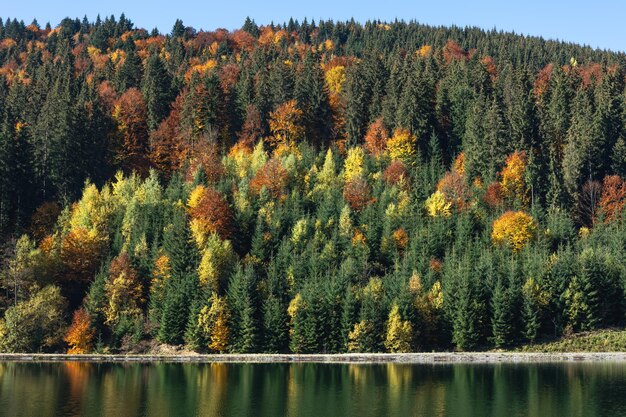Foresta d'autunno e lago in uno sfondo naturale di una zona montuosa