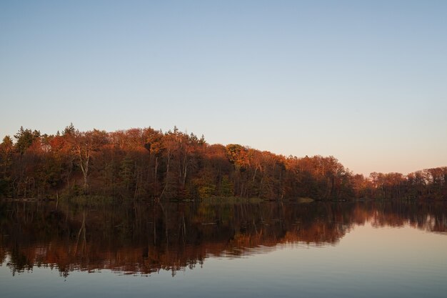 Foresta d'autunno riflessa su un lago