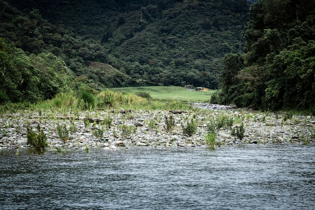 Foresta della possibilità remota e paesaggio dell'acqua