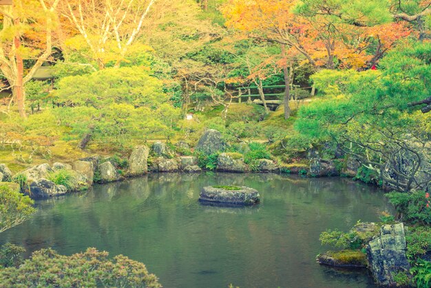 Foresta di autunno fiume (immagine filtrata con elaborata effe epoca