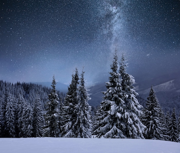 Foresta su una cresta di montagna ricoperta di neve. Via Lattea in un cielo stellato. Notte di natale inverno