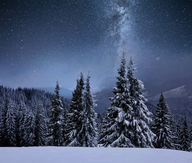 Foresta su una cresta di montagna ricoperta di neve. Via Lattea in un cielo stellato. Notte di natale inverno