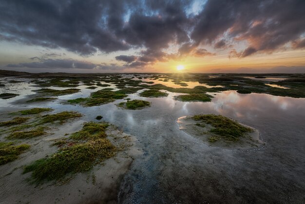 Formazioni di terra verde nell'oceano sotto il cielo nuvoloso al tramonto