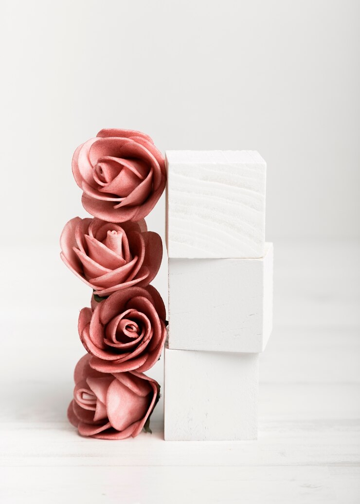 Foto gratuito foto artistiche rose e cubi bianchi