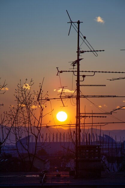 Foto di sagome di albero e antenna tv sul tetto durante il tramonto a Zagabria in Croazia