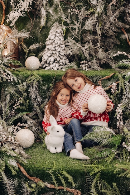 Foto di stock di adorabili sorelline brunette in maglioni con motivi invernali rossi e bianchi che tengono giocattoli di Natale e sorridono alla telecamera. Circondato da decorazioni natalizie.