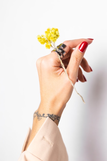 Foto morbida di manicure rossa mano donna, anello al dito, tenere grazioso fiorellino giallo secco, bianco.