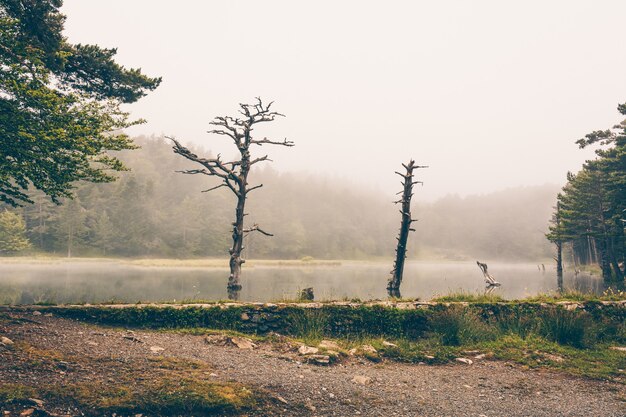 Foto panoramica di un paesaggio di montagna e parzialmente coperto di nebbia